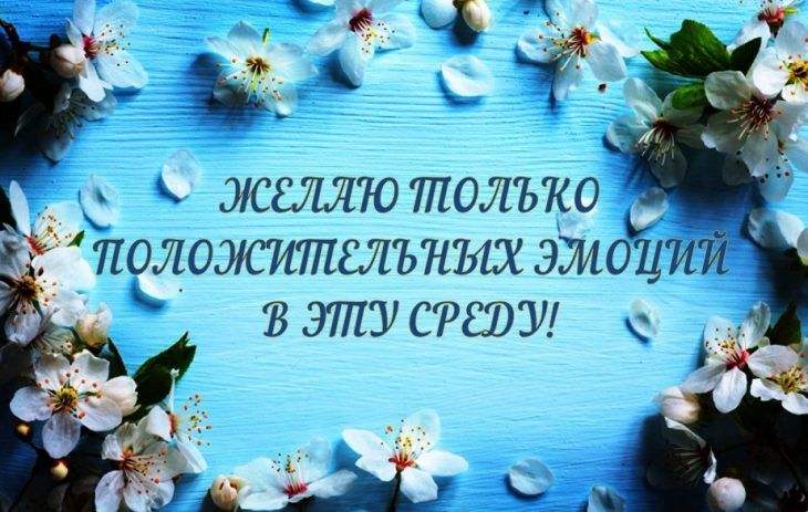 Открытки